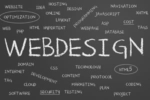 Professional Website Development